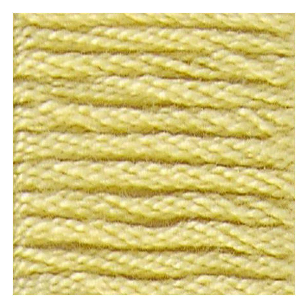 DMC Yellow Mouline Special 25 Cotton Thread 8m (017) 2 DMC Yellow Mouline Special 25 Cotton Thread 8m (017)