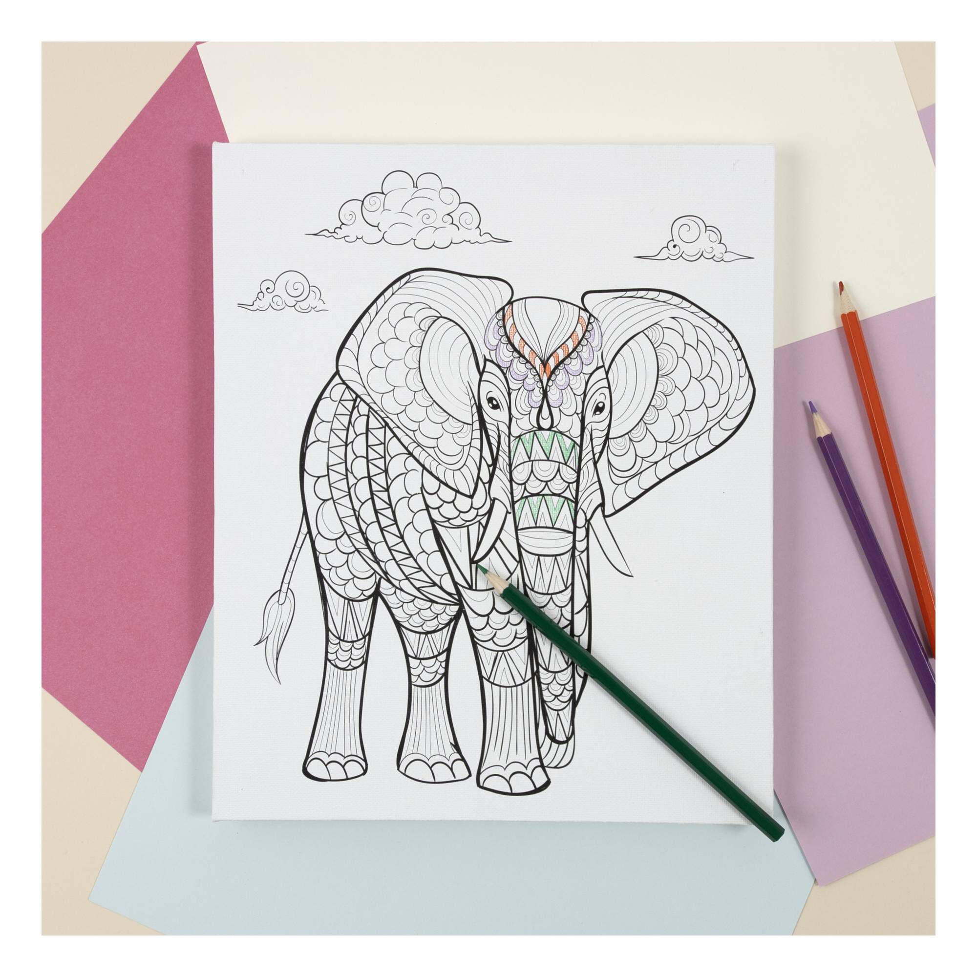 Elephant Colour-in Canvas 2 Elephant Colour-in Canvas