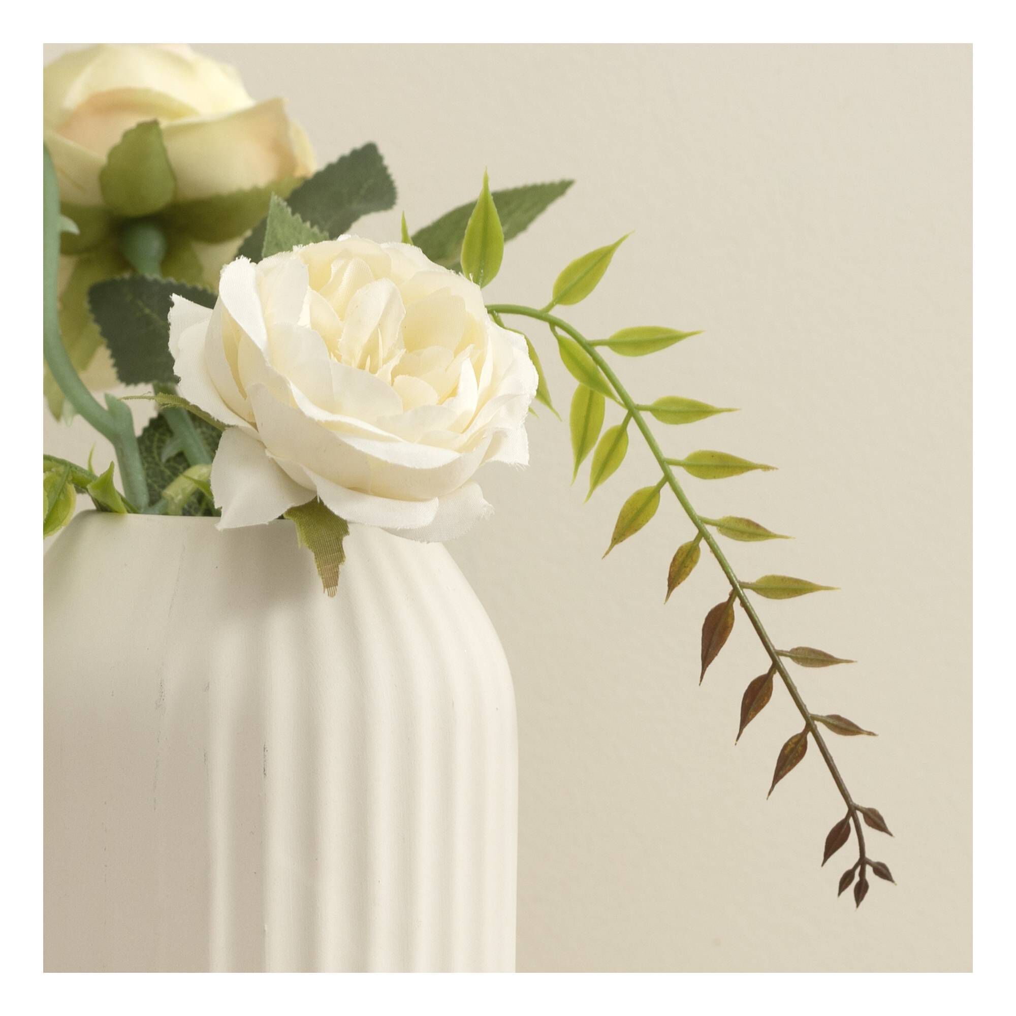Trailing Leaves 2 Pack 2 Trailing Leaves 2 Pack