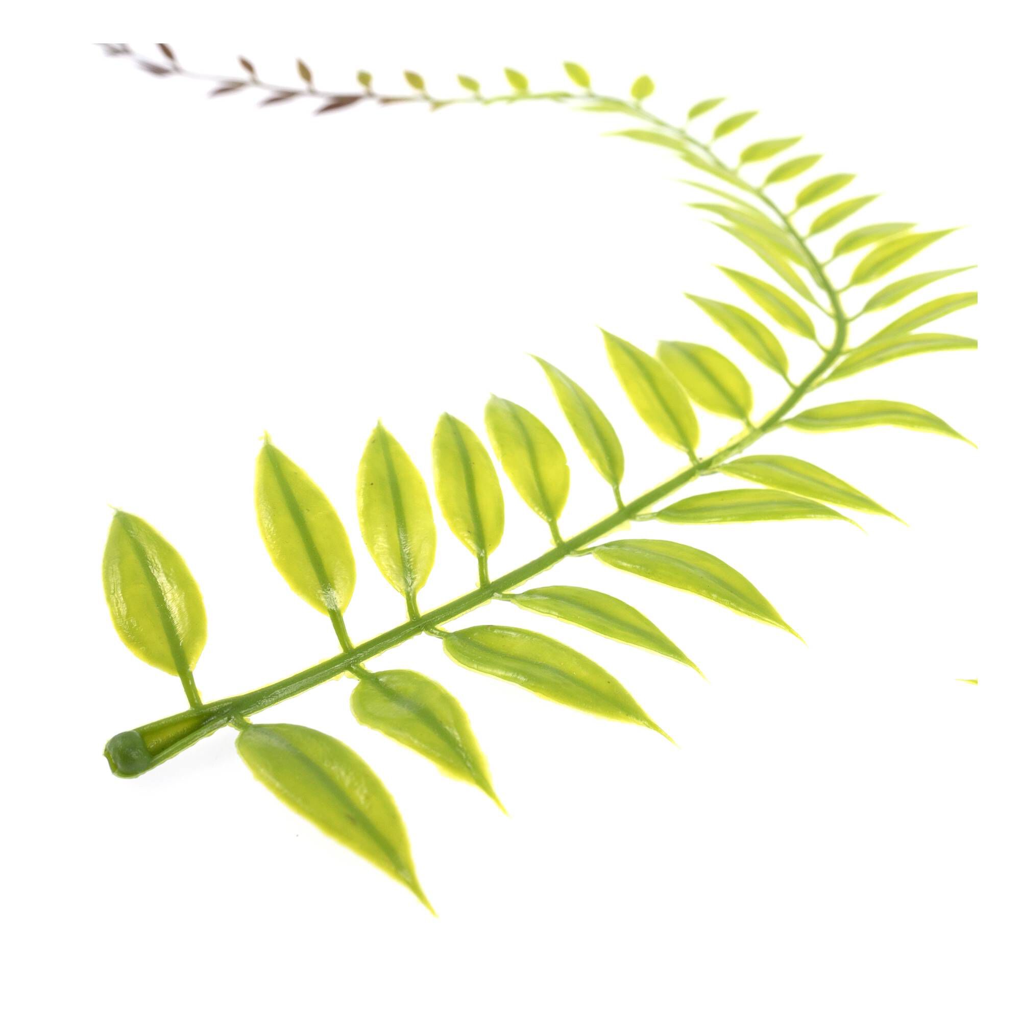 Trailing Leaves 2 Pack 3 Trailing Leaves 2 Pack