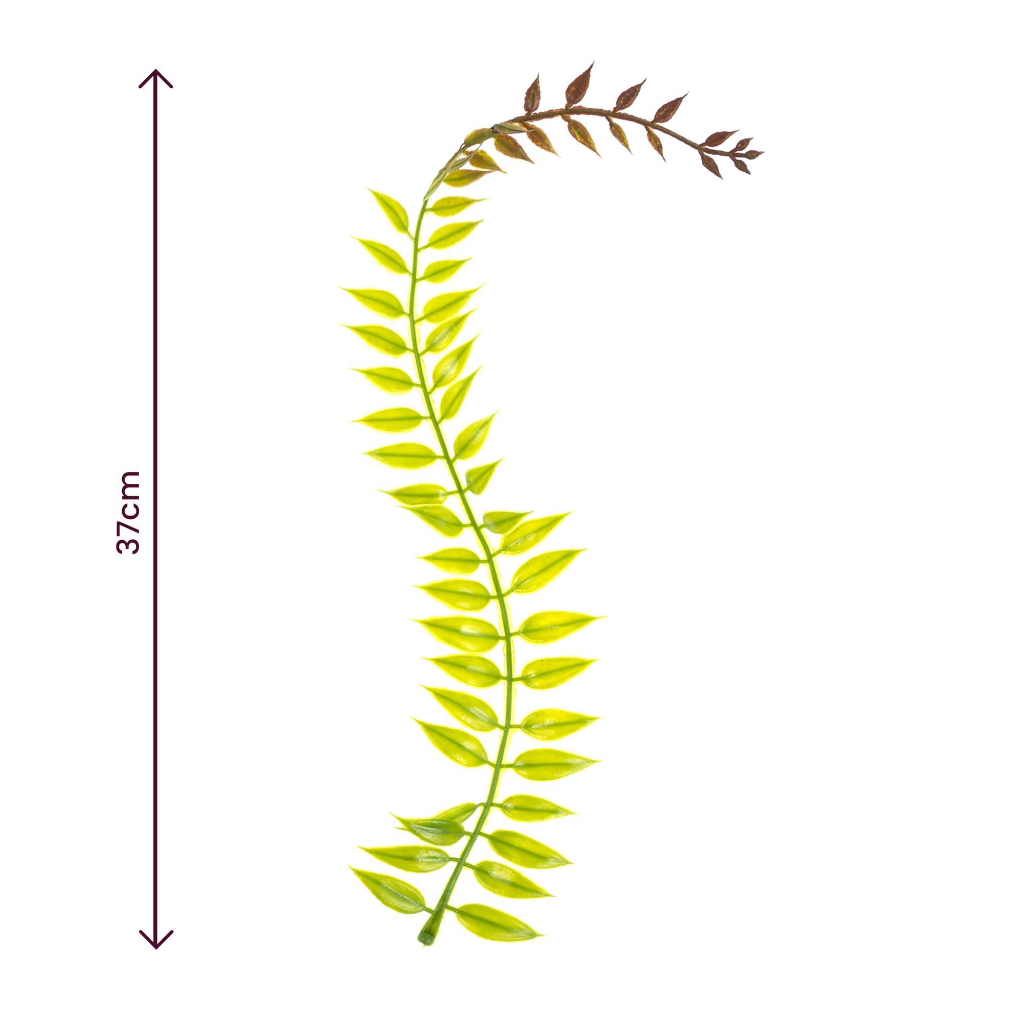 Trailing Leaves 2 Pack 4 Trailing Leaves 2 Pack