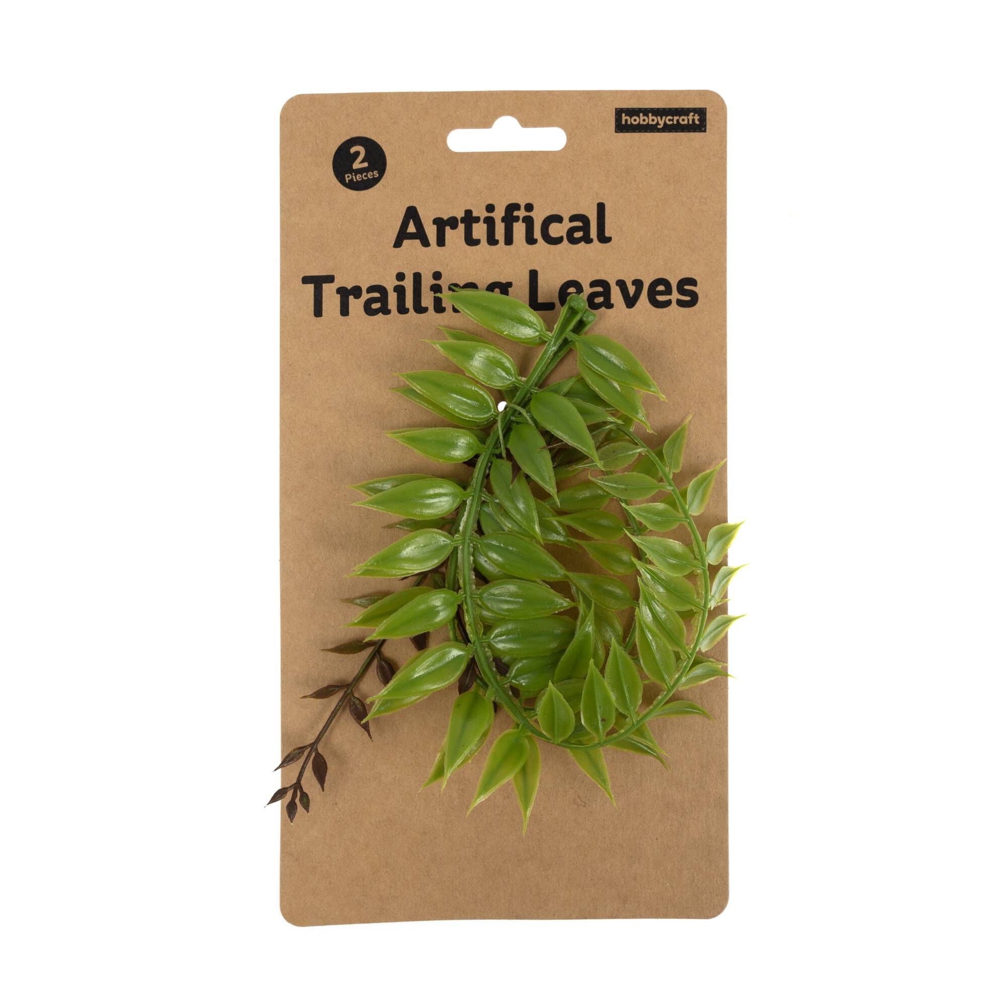 Trailing Leaves 2 Pack 5 Trailing Leaves 2 Pack