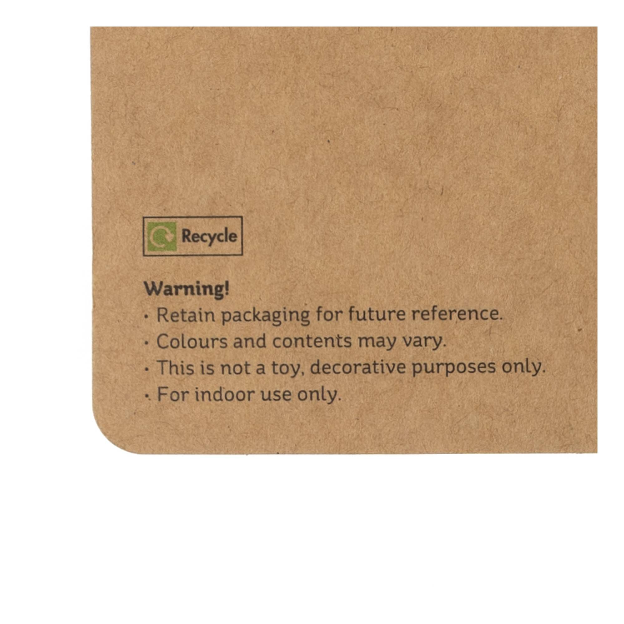 Trailing Leaves 2 Pack 6 Trailing Leaves 2 Pack