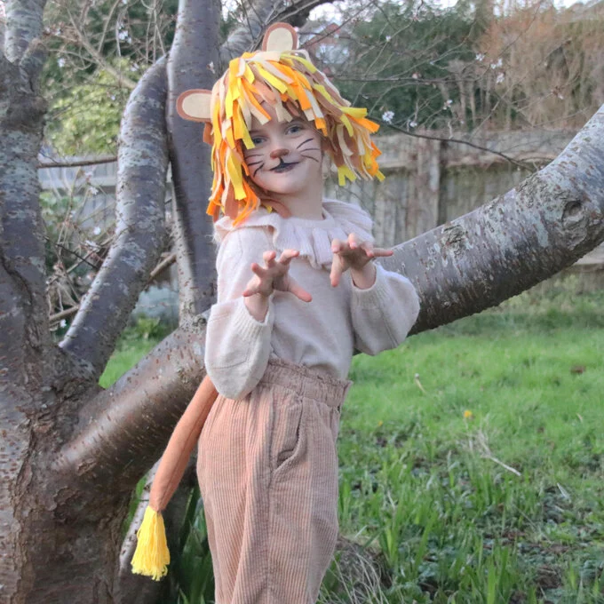 How To Make A Lion Costume