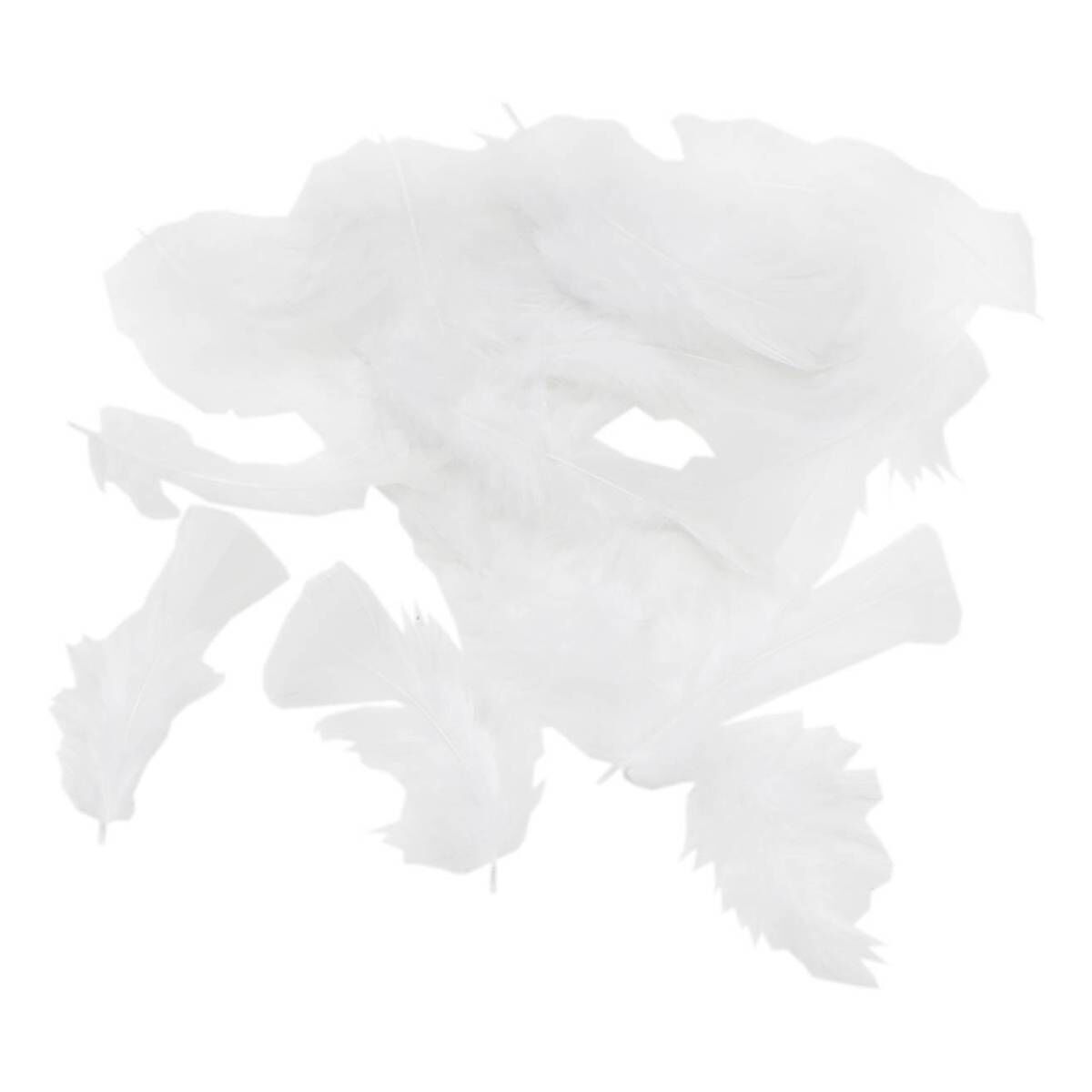 White Craft Feathers 5g